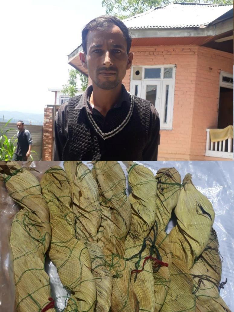 Drug peddler arrested in Langate